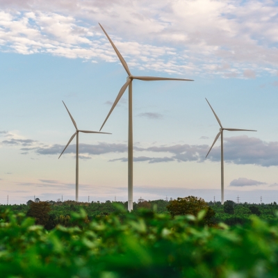 Les 5 mesures que proposa Esquerra Republicana per la transició energètica a Catalunya