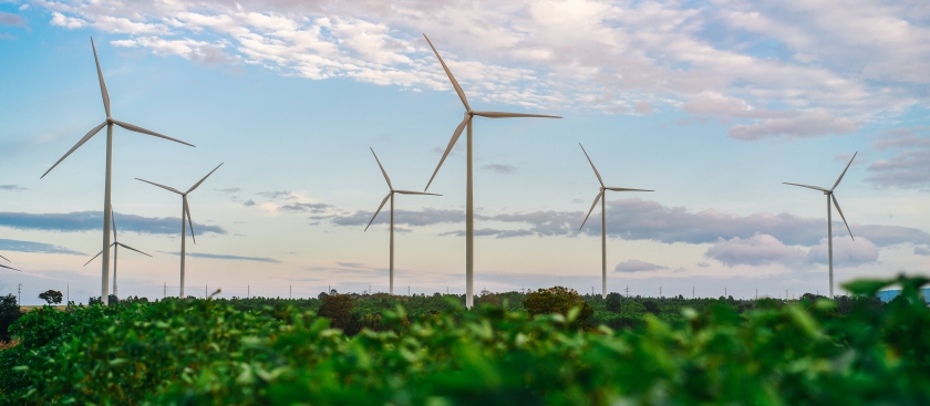   Les 5 mesures que proposa Esquerra Republicana per la transició energètica a Catalunya  