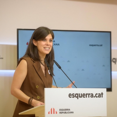 Vilalta, al govern espanyol: 'Han volgut centralitzar-ho tot per electoralisme i ara que el resultat no és bo, centrifuguen responsabilitats'