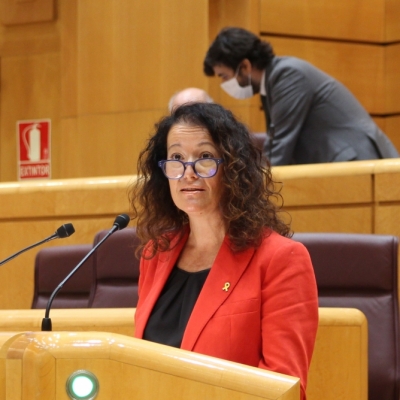 Esquerra Republicana lidera al Consell d'Europa una iniciativa que urgeix a Espanya a amnistiar els represaliats i negociar sobre l'autodeterminació