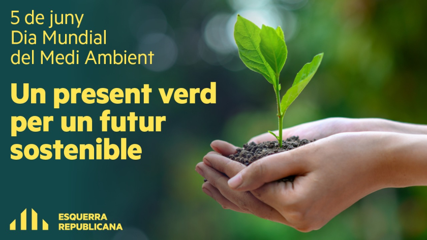   Les 5 mesures clau de la transformació verda impulsades per la consellera Jordà  