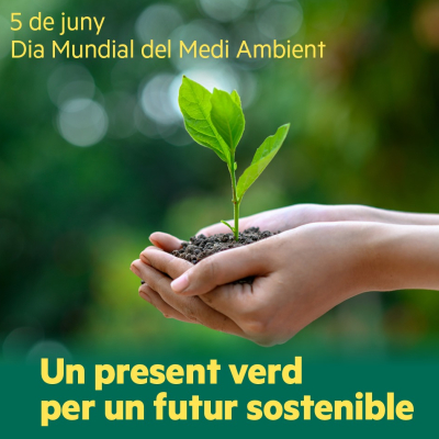 Les 5 mesures clau de la transformació verda impulsades per la consellera Jordà