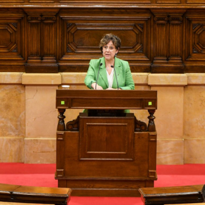 El Parlament recorda Gustau Muñoz i exigeix a l’Estat investigar penalment l’exministre Martín Villa 