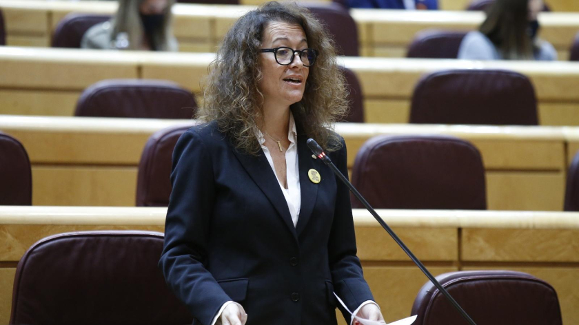 Laura Castel intervé al Senat / Marc Puig