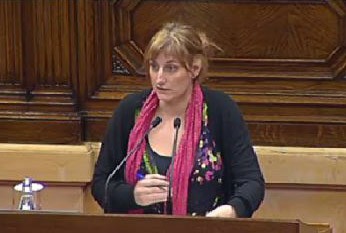 ERC demana aturar la creació del Consorci sanitari de Lleida perquè el Govern no ha buscat el consens amb el sector