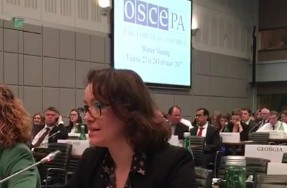 La senadora Laura Castel denuncia a l'OSCE l'exigència de responsabilitats penals contra Forcadell