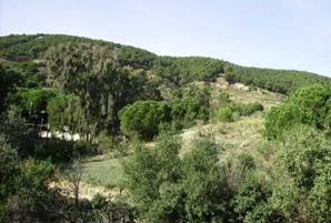 Portabella: 'Si no hi ha gossera és perquè el govern municipal no vol diàleg ni consens'