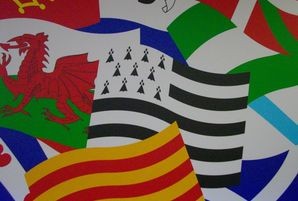 Junqueras celebra la derrota del PP en l’intent de censurar la immersió lingüística catalana a Europa