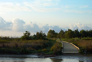 Marta Cid: “Cal buscar acords per millorar els camins del Delta”