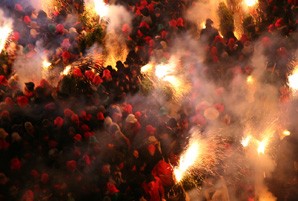 Esquerra reclama al ministre d’Indústria modificar el reglament que transposa la directiva del foc