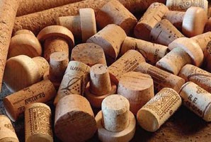 Bofill demana ajudes per promocionar i donar suport al sector del suro