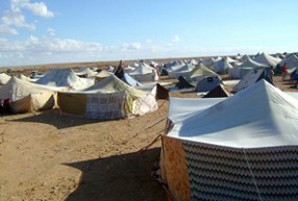 Esquerra celebra l'arribada a Catalunya dels dos activistes que es trobaven aïllats al Sàhara Occidental