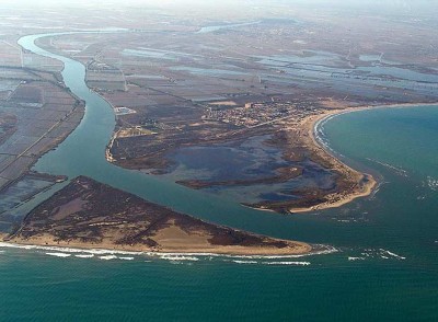Esquerra demana una actitud proactiva del Govern en defensa de l’Ebre