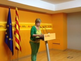 Simó: 'Encoratgem a inscriure's a la Via Catalana; exercici de civisme, de democràcia, i de la voluntat majoritària del poble català'